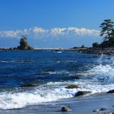 富山湾はなぜ「天然のいけす」と呼ばれるの?豊かな海の秘密をわかりやすく解説