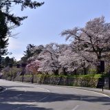 金沢の道が「まっすぐでない理由」とは？歩いて気づく城下町の秘密