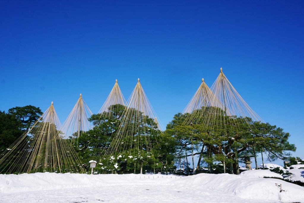 兼六園 雪吊り