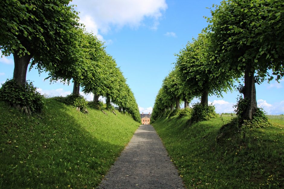 公園