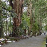 神社の参道は真ん中を歩かない理由とは？知っておきたい神様への敬意と参拝マナー