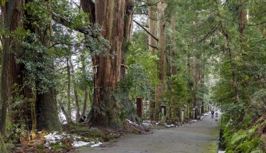 神社の参道は真ん中を歩かない理由とは？知っておきたい神様への敬意と参拝マナー