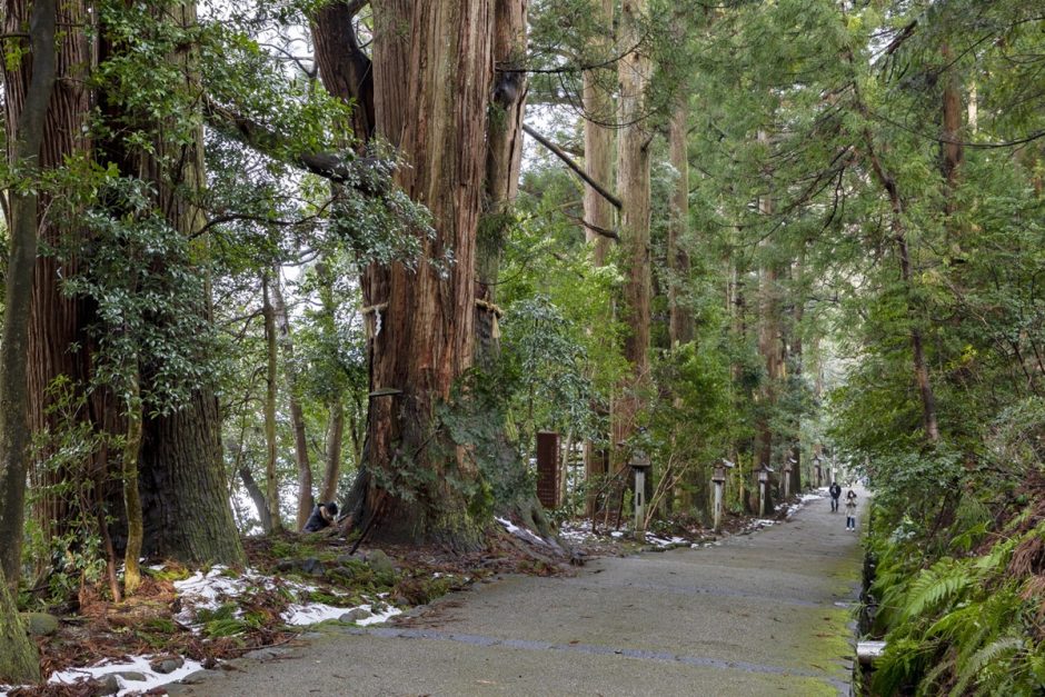 白山比咩神社